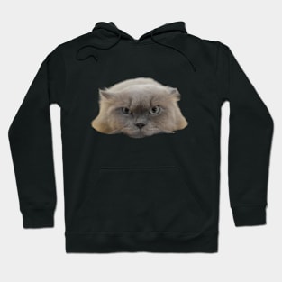 Persian cat Hoodie